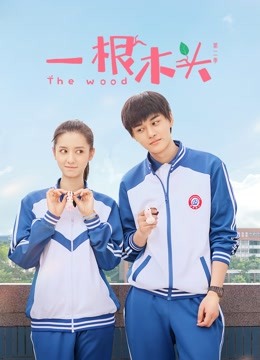一根木头第二季海报