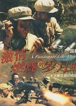 激情燃烧的岁月3海报