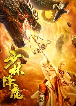 少林降魔海报