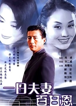 一日夫妻百日恩（高曙光版）海报