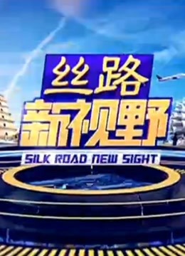 丝路新视野海报