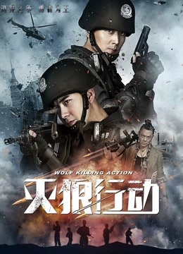 灭狼行动海报