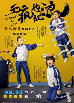 无“疯”也起浪海报