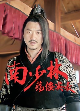 南少林荡倭英豪海报