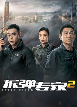 拆弹专家2（粤语）海报