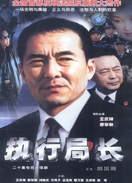 执行局长海报
