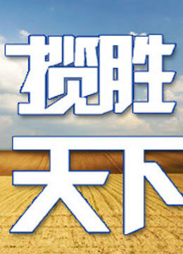 揽胜天下海报