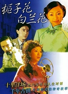 栀子花白兰花海报