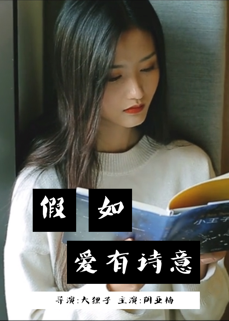 假如爱有诗意海报