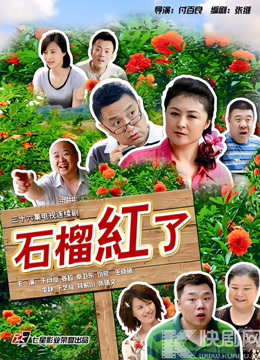 石榴红了海报