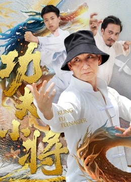 功夫小将海报