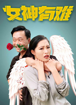 女神有难海报