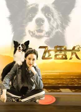 飞盘犬海报