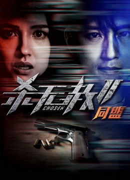 杀无赦2：Ⅱ同盟海报
