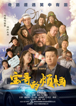宝哥的烦恼海报