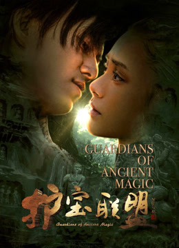 护宝联盟第二季海报