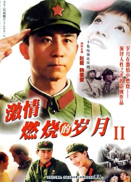 激情燃烧的岁月2海报