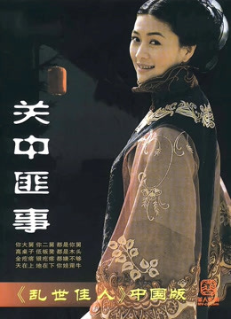 关中匪事海报