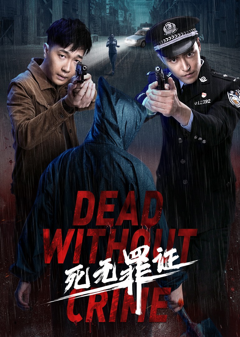 死无罪证海报