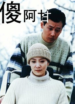 傻阿甘海报