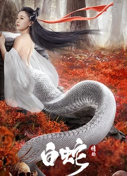 白蛇：情劫海报