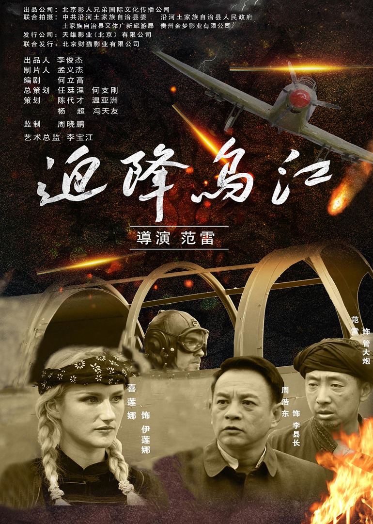 迫降乌江海报