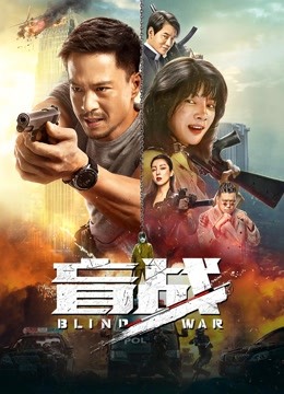 盲战海报