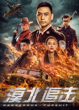 漠北追击海报