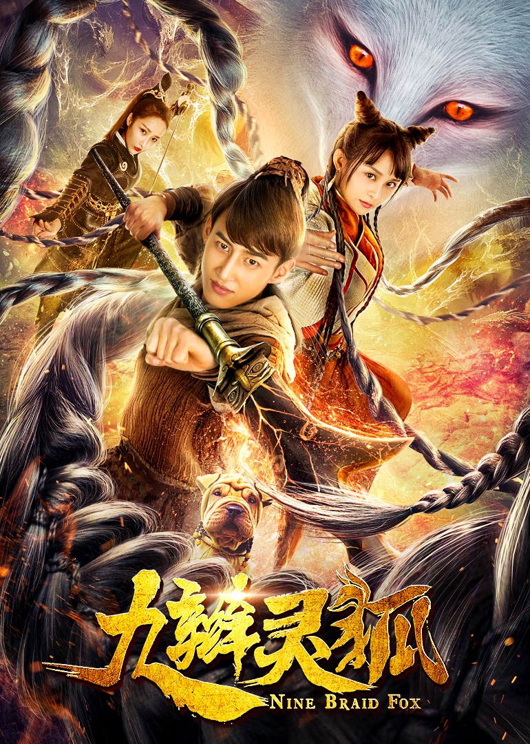 九辫灵狐海报