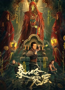 秦岭密窟海报