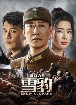 雪豹之暗战天机海报