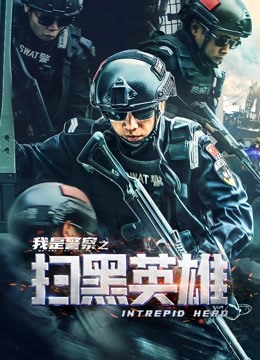 扫黑英雄海报