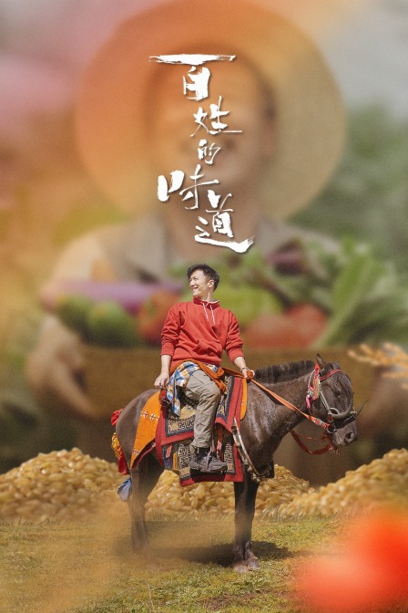 百姓的味道海报
