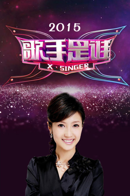 歌手是谁 2015海报
