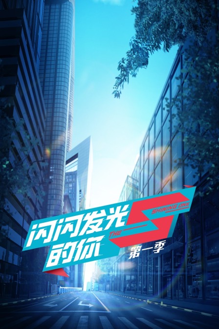 闪闪发光的你 第一季海报