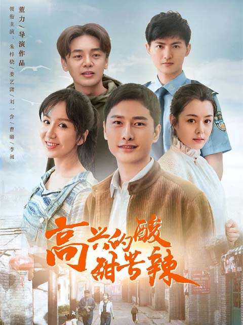 高兴的酸甜苦辣海报
