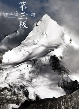 第三极海报