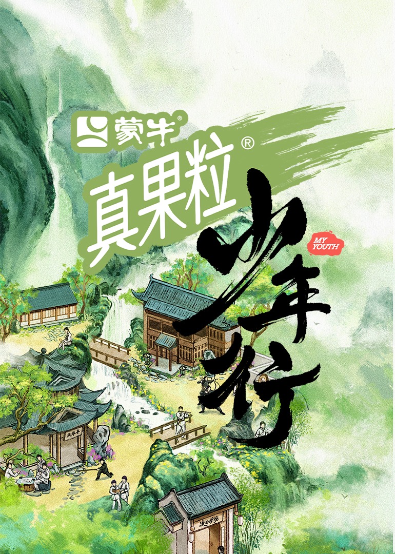 少年行海报
