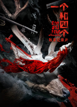 《一个和四个》独家纪录片海报