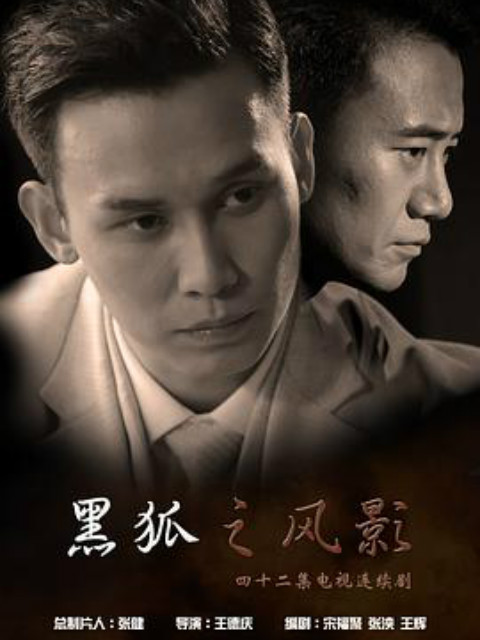 黑狐之风影海报