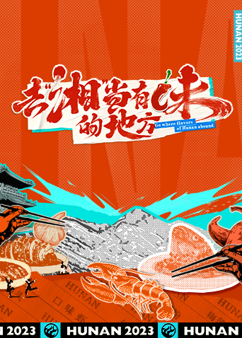 去“湘”当有味的地方海报