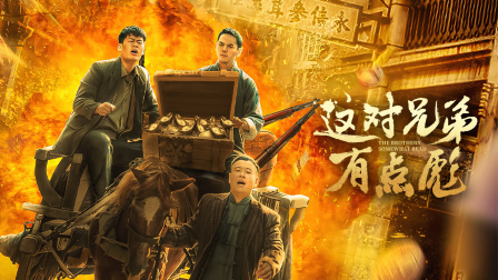 这对兄弟有点彪海报