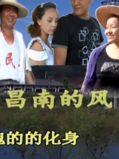瓷都人之昌南的风海报