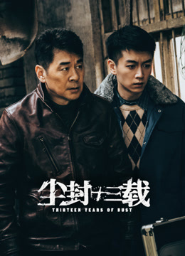 尘封十三载海报