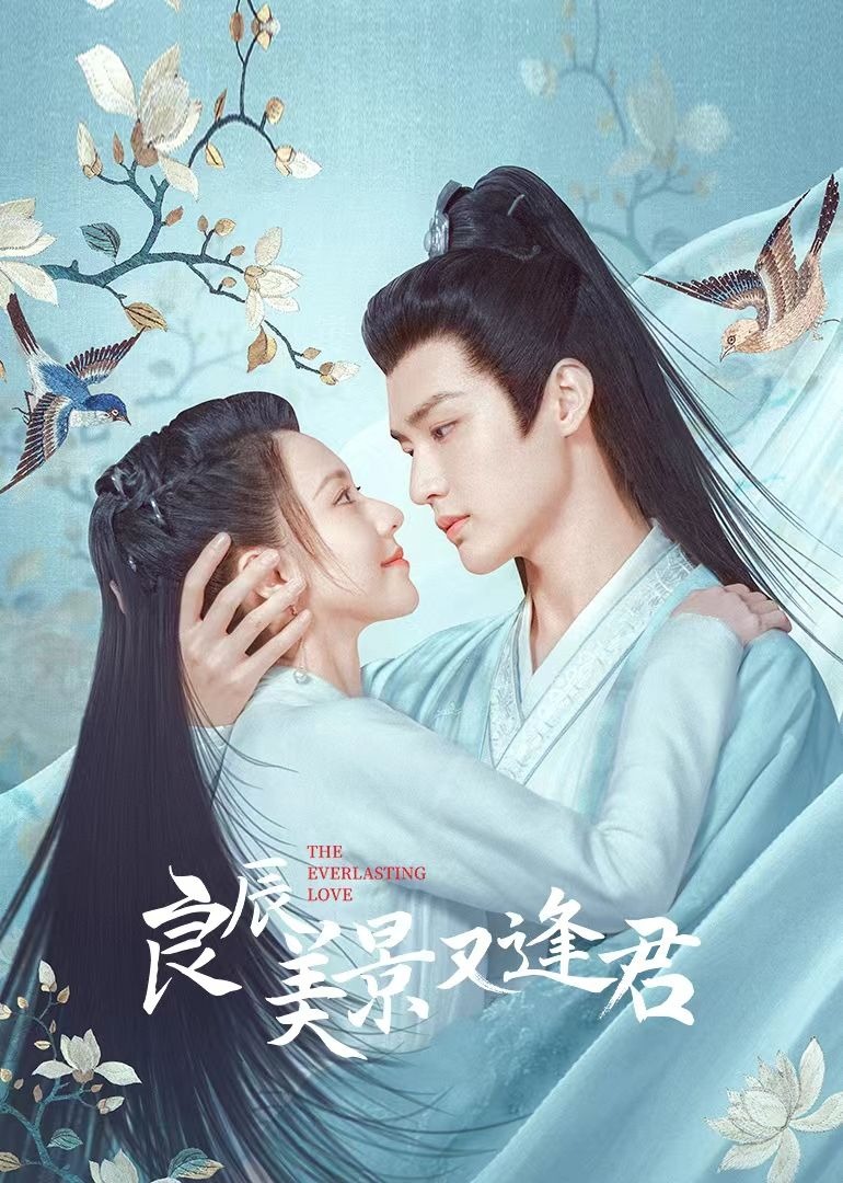 良辰美景又逢君海报