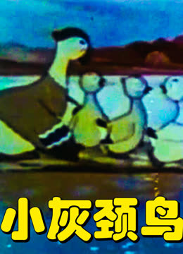 小灰颈鸟海报
