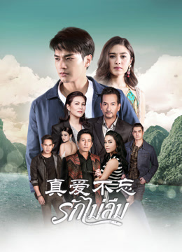 真爱不忘普通话版海报