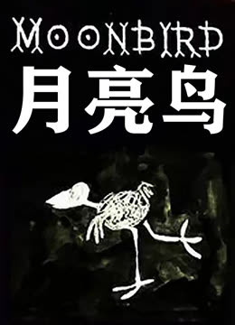 月亮鸟海报