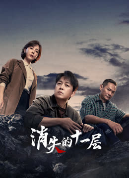 消失的十一层海报