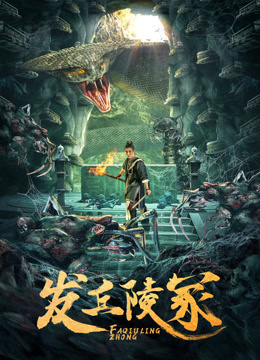 发丘陵冢海报
